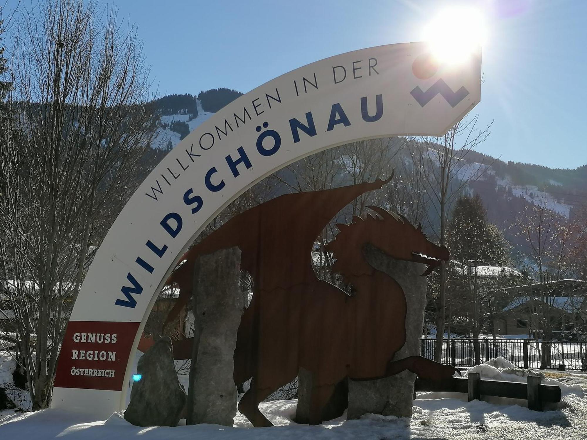 Ferienwohnung Wildschoenau By Fewo-Plan In Panoramalage Wild191 Thierbach 外观 照片